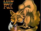 FOX, THE - For Fox Sake - LP 1970 Sommor