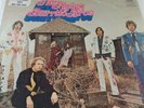 The flying burrito brothers 