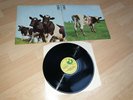 LP / Pink Floyd ?– Atom Heart Mother  Italy 1976 / Psych Prog Rock