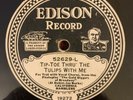 EDISON DIAMOND DISC 52629 California Ramblers 