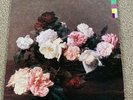 New Order - LP - Power Corruption & Lies - Fact75 - original die cut sleeve