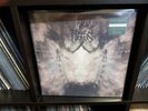 Dark Fortress ?– Ylem             2 vinyl