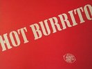 Flying Burrito Bros Hot Burrito Dutch Lp