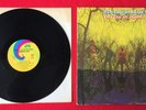 AMERICAN BLUES Do Their Thing 1968 original Album UNI 73044 LP VG+/EX vinyl