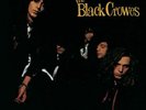 THE BLACK CROWES **Shake Your Money Maker **NEW RECORD LP VINYL