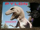 PRIVATE-PRESSING 1983 GEORGIA New Wave LP - PYLON 
