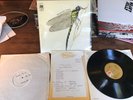 The Strawbs Dragonfly First Press and White Label Demo And Lps