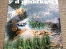 Pink floyd a saucerful of secrets vinyl
