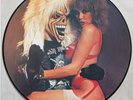 IRON MAIDEN - Last Pup Gig / Vinyle Picture Disc en TBE