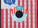 The Cherry Slush- I Cannot Stop You/ Don't Walk Away- U.S.A. 895- Garage- Hear
