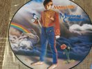 MARILLION  MISPLACED CHILDHOOD 1985 VINYL PICTURE DISC LP MRLP 2