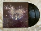 Arcane Roots Blood & Chemistry Limited Edition Vinyl Long OOP Super Rare