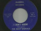 GARAGE ROCKER - the BUSY SIGNALS - I DONT KNOW  - HEAR 1965 FLORIDA MARINA