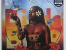 Sampa the Great - Birds and the Bee9 - LP - New