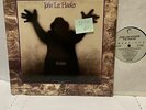 John lee Hooker The Healer- Chameleon D1 74808 VG+/VG+ Blues Record LP