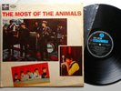 the most of the ANIMALS