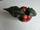 FIONA APPLE Tidal RARE U.S. PROMO DECORATIVE APPLE 1996 SONY