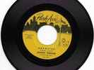 JOHNNY FORTUNE-PARK AVE 130 RARE ROCKABILLY HOT ROD INSTRUMENTAL45 RPM DRAGSTER