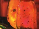 ALICE IN CHAINS - Jar Of Flies [VINYL]