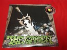 The Garden Kiss My Super Bowl Ring Rock LP NEW Vinyl 2020 Piranha Records