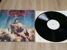 Manowar Warriors Of the Metalsword LP Limit Nr.614