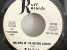 THEM ?– Walking In The Queens Garden RARE WL PROMO 45 British Invasion