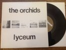 The ORCHIDS: 'Lyceum' 10