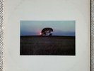 Pat Metheny Bright Size Life Vinyl Record LP Album ECM-1-1073 (2310 454)