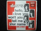 VINYL 45 TOURS  / THE DOORS / HELLO I LOVE YOU, WON'T YOU TELL ME YOUR NAME ? /