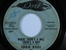 Northern Soul 45 EDDIE KOOL Where There's A Will There's A Way DORE promo HEAR