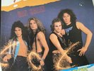 Van Halen-Rules Are For Fools-2 vinyl LP-Bootleg Live - Rare