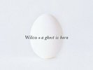 Ghost Is Born (2LP) by Wilco.