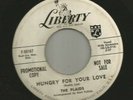 DOOWOP R&B bw ROCKER -PLAIDS -  HUNGRY FOR YOUR LOVE  -HEAR -1958 PROMO LIBERTY