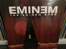 Eminem The Eminem Show 2 x Vinyl LP NEW & SEALED Dr DRE Wu Tang 2Pac 50 Cent