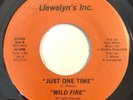 * WILD FIRE Just One Time RARE COSMIC ISLAND MODERN SOUL FUNK Llewelyn’s 45 HEAR