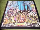 MAGIC MUSHROOM BAND-RE HASH LP(MAGICK EYE)