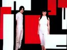 THE WHITE STRIPES - DE STIJL LP BRAND NEW LTD ED 180GM VINYL FAST SHIPPING