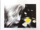 Emmylou Harris LP Vinyl - Wrecking Ball
