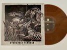 Evergreen Terrace Dead Horses Brown Vinyl LP Comeback Kid Stick To Your Guns