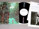 TOMMY McLAIN LP + PHOTO/BIO - Backwoods Bayou Adventure