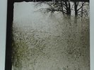 BON IVER - For Emma, forever ago ***Vinyl-LP***NEW***4AD***