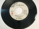 RARE Sparkles HICKORY Hipsville 29 BC I Want To Be Free GARAGE NORTHERN SOUL 45