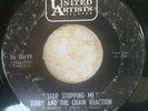 Terry & The Chain Reaction   Keep Your Cool   U.A.   US   Garage    1967