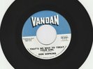 Don Hopkins Thats No Way To Treat Your Girl / Little Miss Pretty 1964  45 RPM EX