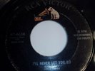 Elvis Presley I'll Never Let You Go / I'm Gonna Sit Right RARE 45 47-6638