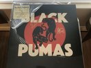 Black Pumas *SIGNED* Cream Colored Vinyl *SOLD OUT* Brand New *RARE* Autographed