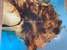 MADONNA Ray Of Light 1998 UK 4-track 12