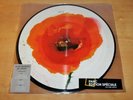 ALAIN BASHUNG : EN AMONT* - DOUBLE VINYL PICTURE DISC - LIMITED EDITION c.2018