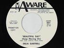 70s Soul/Funk 45 - Delia Gartrell - Beautiful Day (Keep Moving On) - Aware VG++