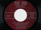 Funk/Sweet Soul 45 - James Lewis Fields - How Long Shall I Wait - Top Pop - mp3